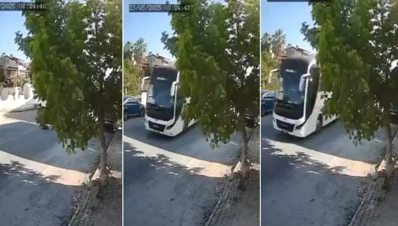 Yolda Yatan Köpeğe Dikkat Etmeyen Araç Sürücüsü Tepki Topladı!