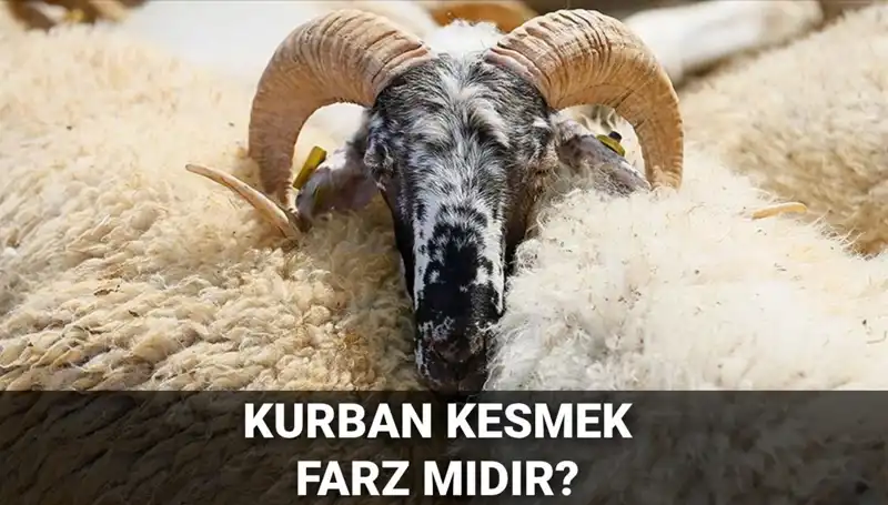 Kurban Kesmenin Dini Hükmü: Farz Mı, Sünnet Mi?