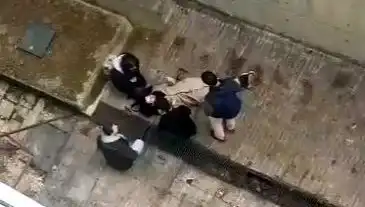 Üniversite Kampüsünde Köpek Paniği: Kaçarken 4 Metreden Düştü