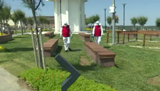 Kene Tehlikesi Artıyor: Halka Açık Alanlarda İlaçlama Tedbirleri Alınıyor