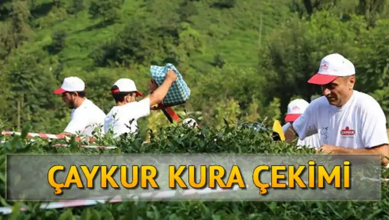 Çaykur Canlı Kura Sayfası ile Şansınızı Artırın: İsimler Nasıl Öğrenilir?