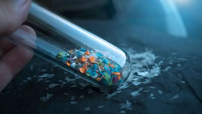 Mikroplastikler İnsan Beyninde: Zararları ve Etkileri Üzerine Şok Edici Bulgular