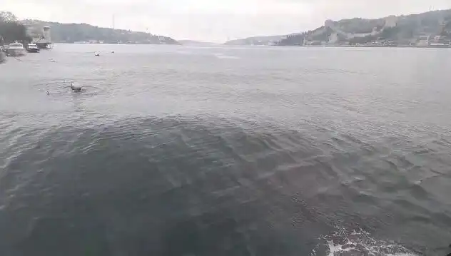 İstanbul Boğazı’nda Tüyler Ürperten Dalgalar: Neler Oluyor?