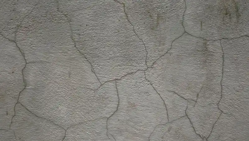 Canlı Beton İcat Edildi: Çatlakları Kendiliğinden Onarıyor!