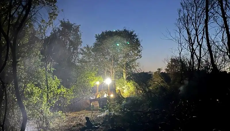 Edirne’de Büyük Orman Yangını Sonunda Kontrol Altına Alındı