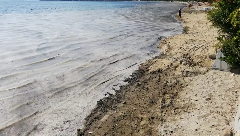Müsilaj İzleri Siliniyor: 268 İşletme Kapatıldı, Doğa Yeniden Canlanıyor