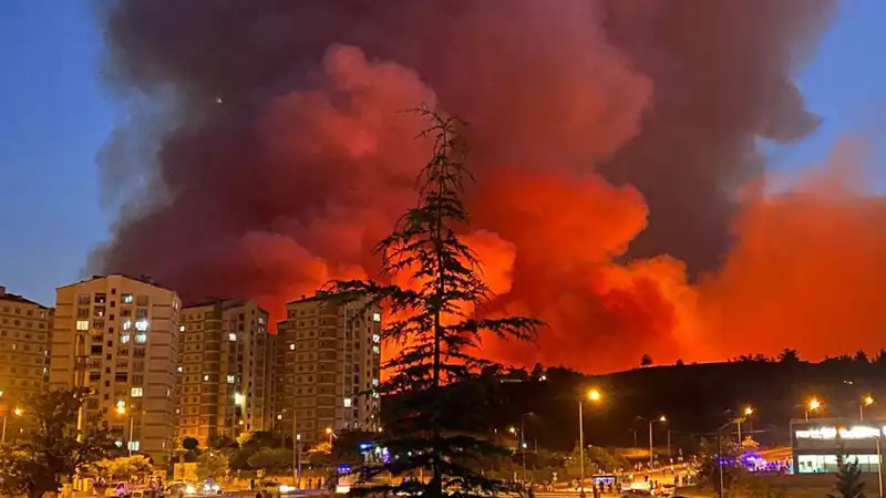 Bursa'da Yangınlar Şehri Sarıyor: Alarm Verici Durumlar