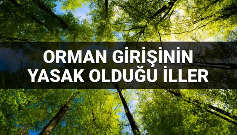 2025’te Ormana Girişi Yasaklanan İller Açıklandı: Detaylar Burada!