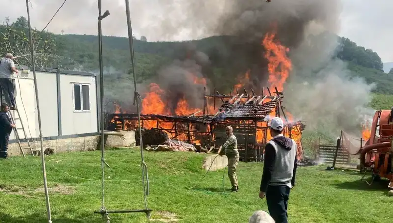 Akçakoca’da Korkutan Yangın: Samanlık Alev Alev Yandı