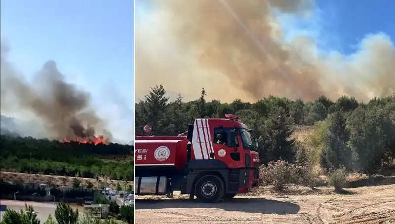 Gebze'de Korkutan Orman Yangını: Sebepler ve Sonuçlar Neler?