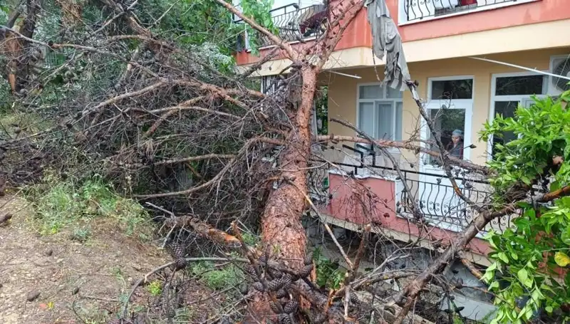 Aşırı Yağışlar, Yıllardır Ayakta Olan Bina’Yı Devirdi!