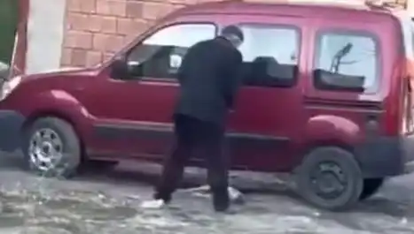 Sokak Ortasında Köpeğe Şiddet: Hayvan Hakları Savunucuları Sokaklarda!