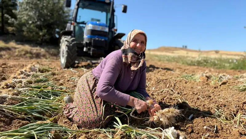 Dünyaca Ünlü Selenyum Zengini Bitki: Tarımın Yeni Yıldızı