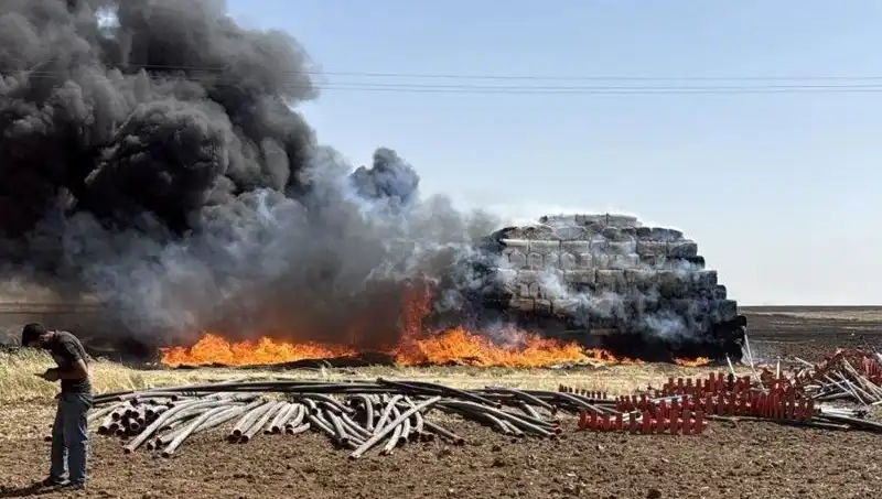 Mardin’deki Anız Yangınları Tarıma Zarar Verirken Doğayı Tehdit Ediyor