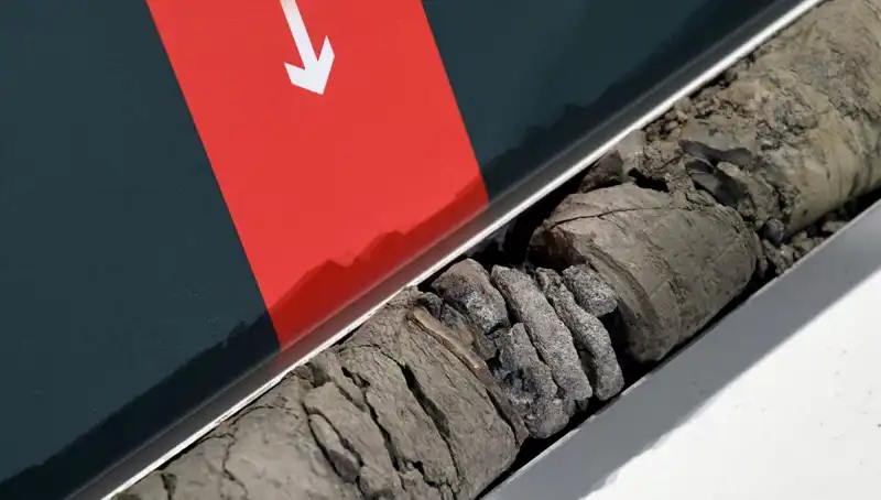 Dinozor Fosili, Tarihi Müze Otoparkında Bulundu: Bilim Dünyasını Şaşırttı