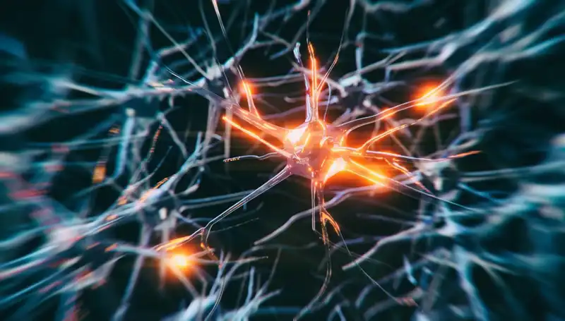 Alzheimer Vakalarındaki Korkutucu Artışın Nedenleri ve Çözüm Önerileri