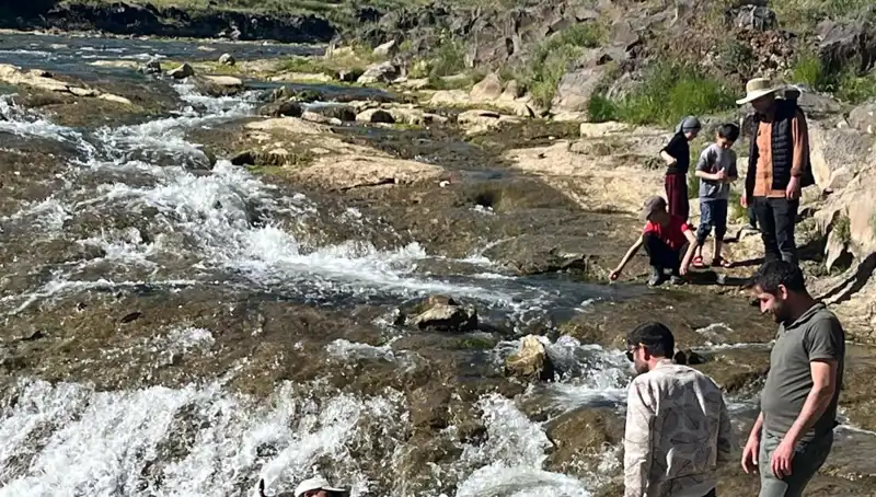 İnci Kefalinin Büyüleyici Göçü: Doğa Harikası Turistleri Büyülüyor