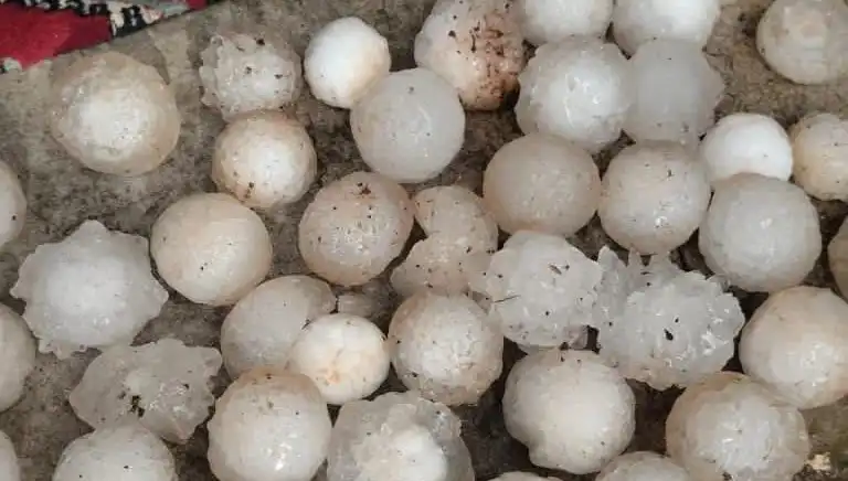 Şanlıurfa'da Kar Topu Büyüklüğünde Dolu İle Şok Eden Doğa Olayı