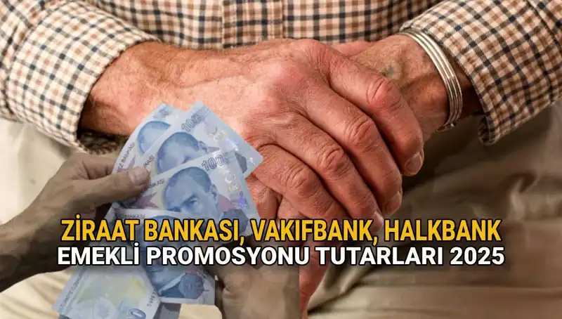 2025'te Kamu Bankalarının Emekli Promosyonları Ne Kadar Olacak?