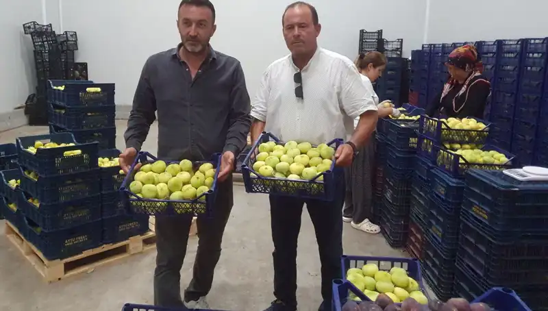 Mersinli Çiftçiler İçin Umut Işığı: 20 TL'den İhraç Edilen Ürünler