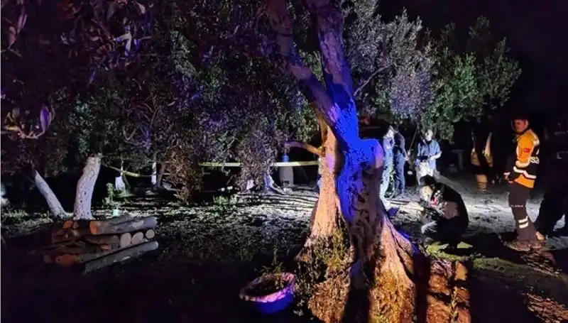 Çiftlikteki Baltalı Vahşet Olayında Şok Gelişme: Bir Tutuklama!